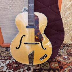 Vintage 1959 Hofner Senator Type 1 Natural Electric Archtop Guitar